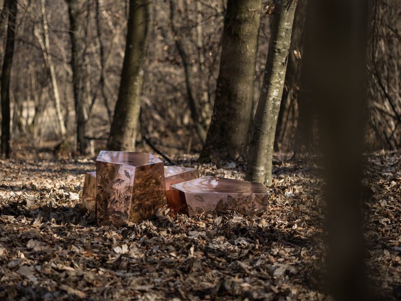 IMPRINT Collection LEAFPRINT TRIO ©alcarol 2025_ est 1