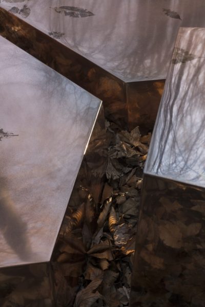 IMPRINT Collection LEAFPRINT TRIO ©alcarol 2025_ est 27