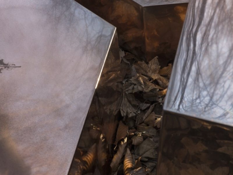 IMPRINT Collection LEAFPRINT TRIO ©alcarol 2025_ est 27