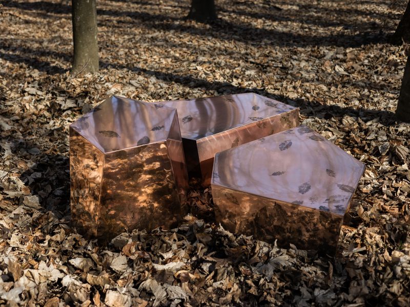 IMPRINT Collection LEAFPRINT TRIO ©alcarol 2025_ est 6