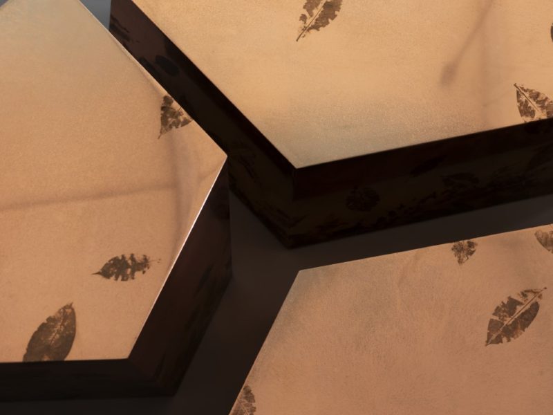 IMPRINT Collection LEAFPRINT TRIO ©alcarol 2025_ part 27