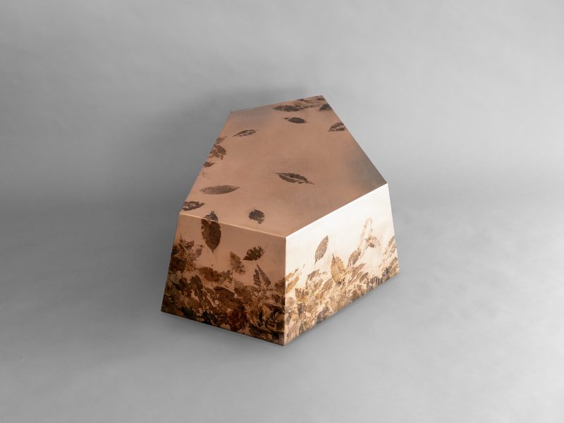 LEAFPRINT Coffee Table C ©alcarol 2025_ 2