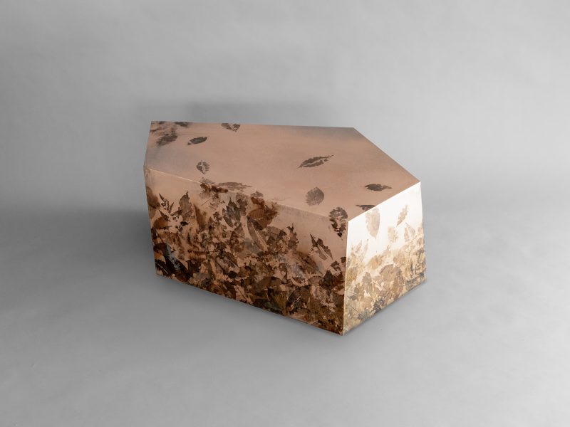 LEAFPRINT Coffee Table C ©alcarol 2025_ 4