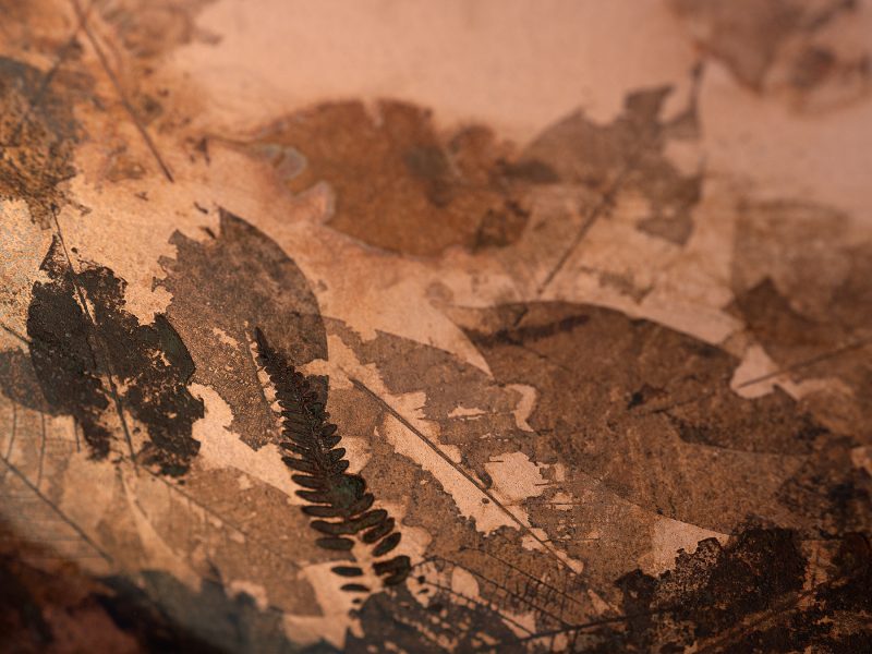 LEAFPRINT Coffee Table C ©alcarol 2025_ part 6