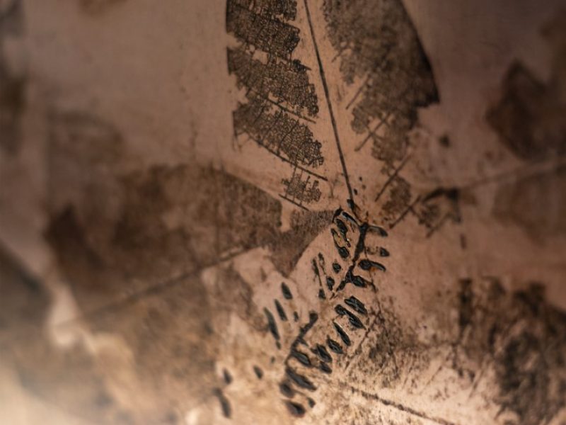 LEAFPRINT Coffee Table C ©alcarol 2025_ part 7