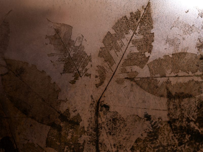 LEAFPRINT Side Table A ©alcarol 2025_ part 6