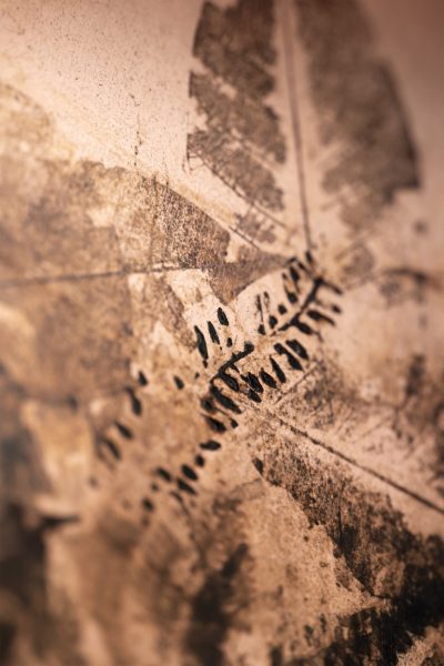 LEAFPRINT Side Table A ©alcarol 2025_ part 9