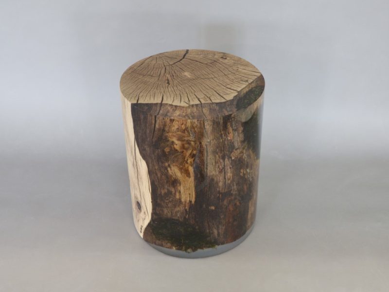 Surfacing Trunk 01ok