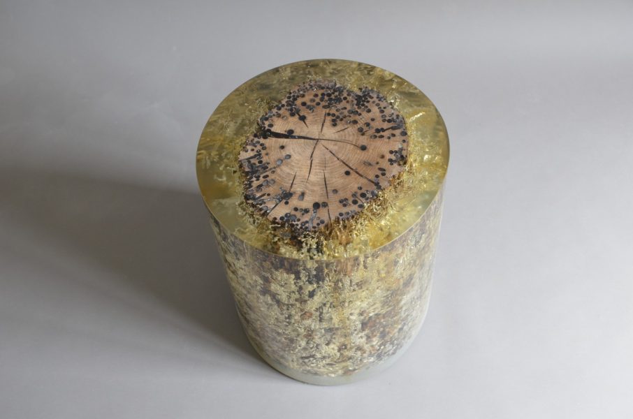 alcarol Fisheye Ex 1 (2)