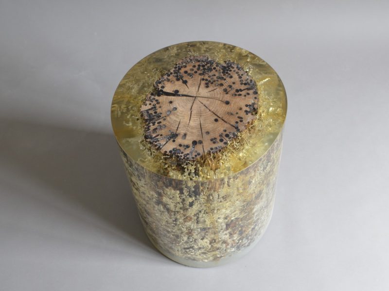 alcarol Fisheye Ex 1 (2)