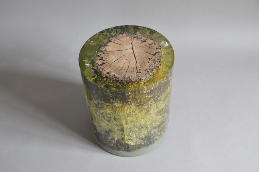 alcarol Fisheye Ex 1