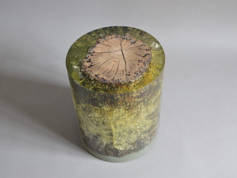 alcarol Fisheye Ex 1