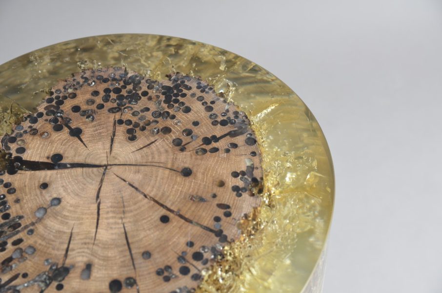 alcarol Fisheye Ex 2 (2)