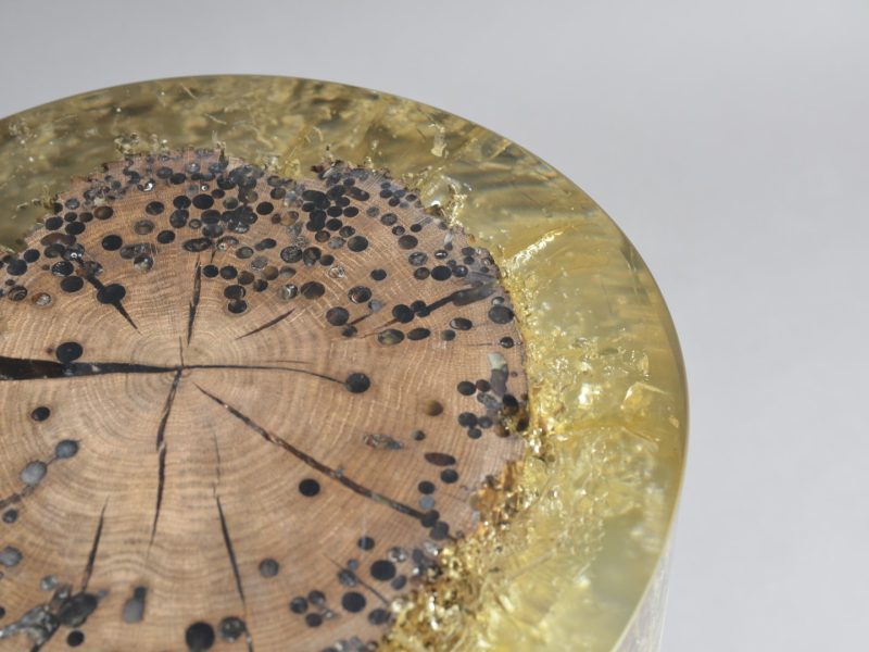 alcarol Fisheye Ex 2 (2)