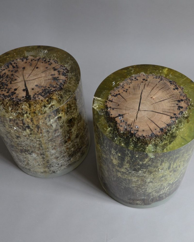 alcarol Fisheye Ex 3 (2)