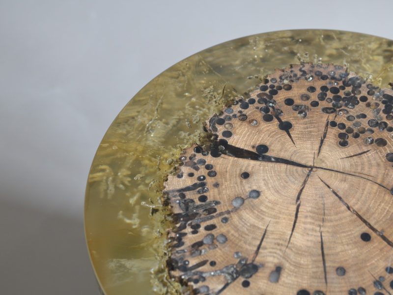 alcarol Fisheye Ex 3 (3)