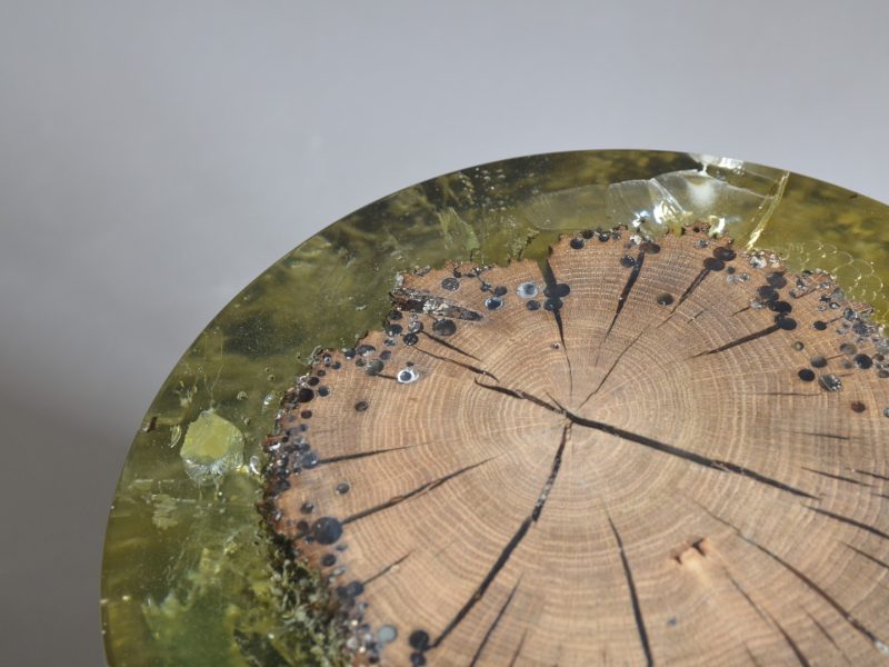 alcarol Fisheye Ex 3