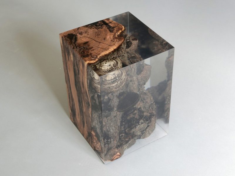 alcarol-Funghi Stool1