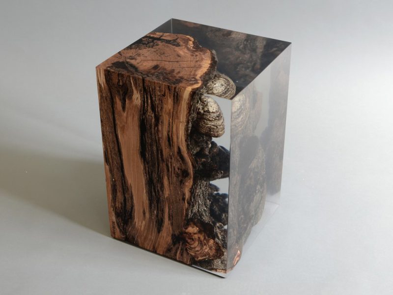 alcarol-Funghi Stool2