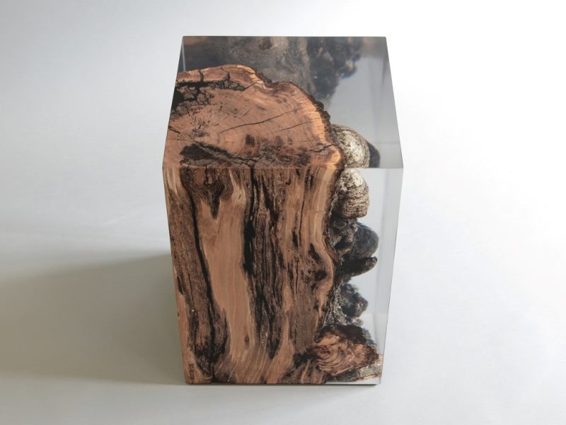 alcarol-Funghi Stool3