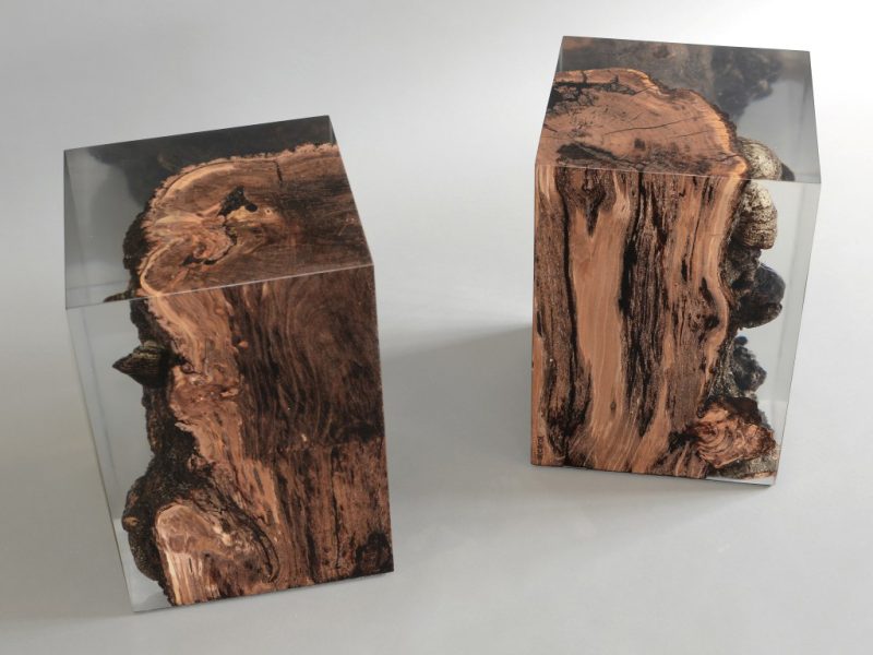 alcarol-Funghi Stool6