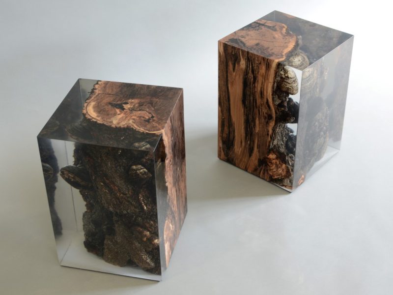 alcarol-Funghi Stool9