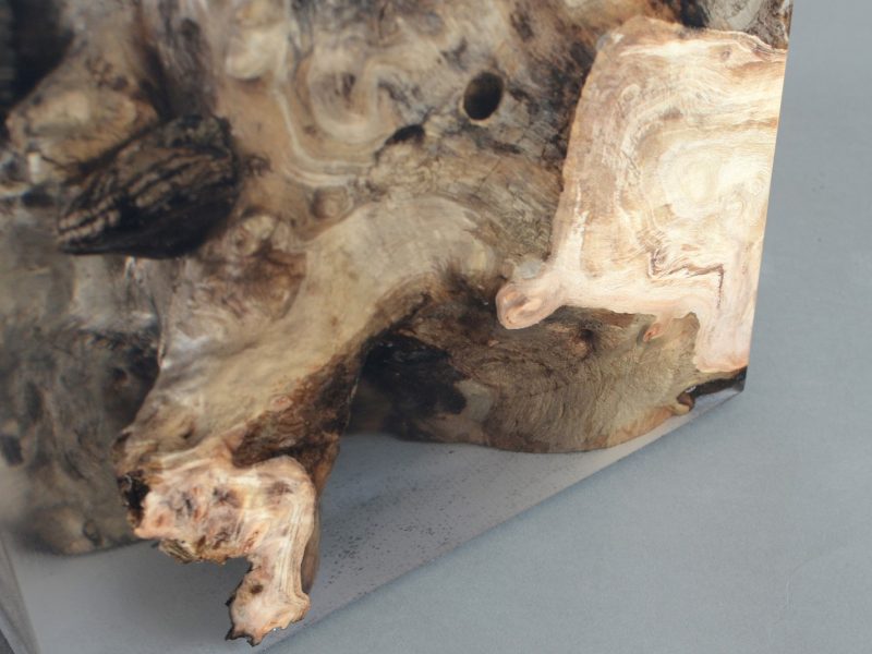 alcarol-fungi-stool-poplar-4