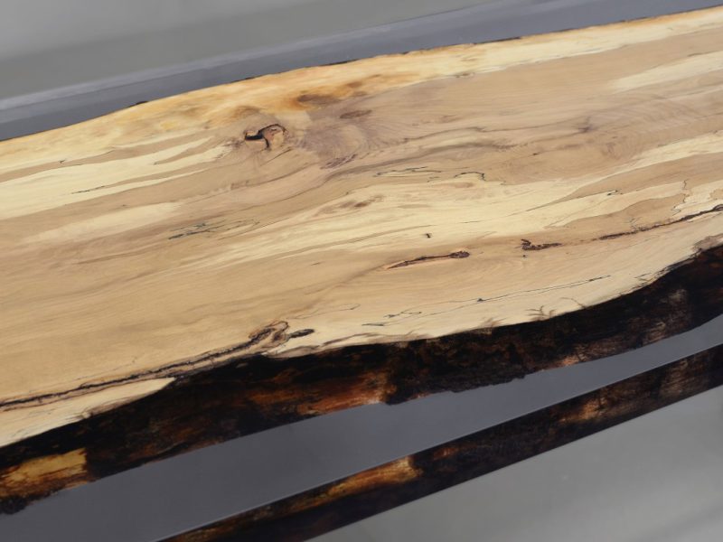 alcarol-Fungi Table 6