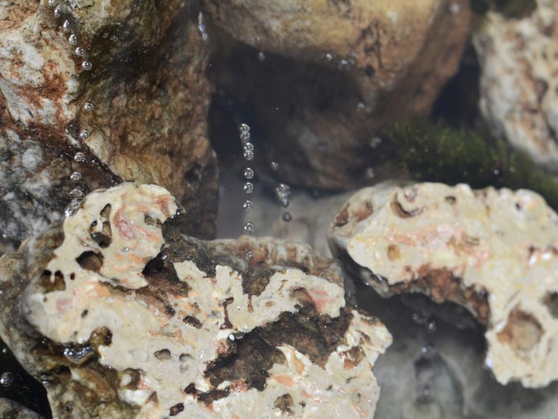 alcarol - Karst stool 12