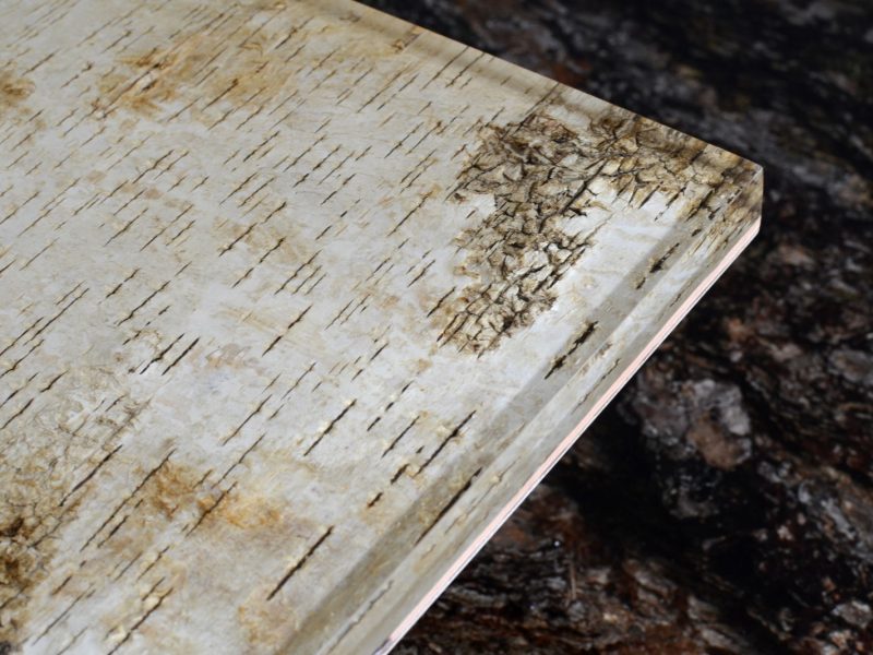 alcarol-Phellem Low Table-part.5