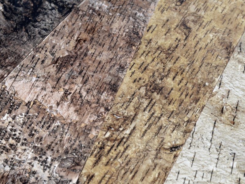 alcarol-Phellem Palette Side Table 15