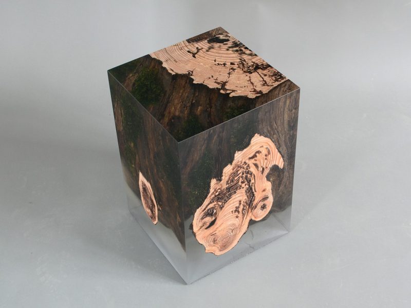 alcarol-stump-stool-larch-1