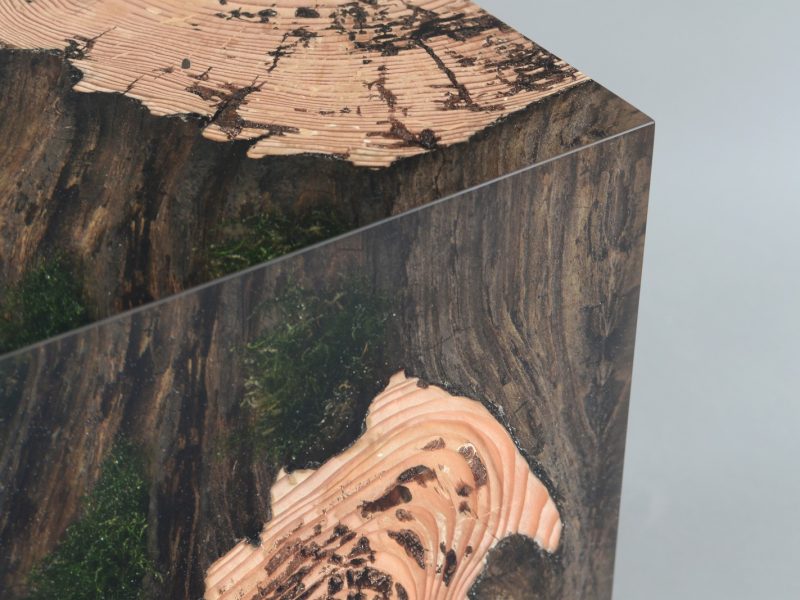 alcarol-stump-stool-larch-2
