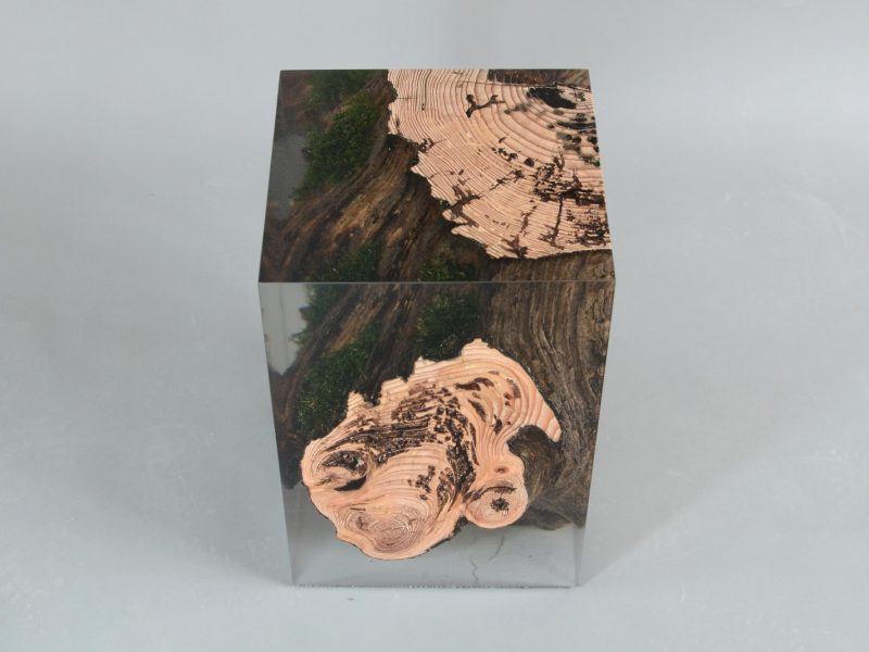 alcarol-stump-stool-larch-3