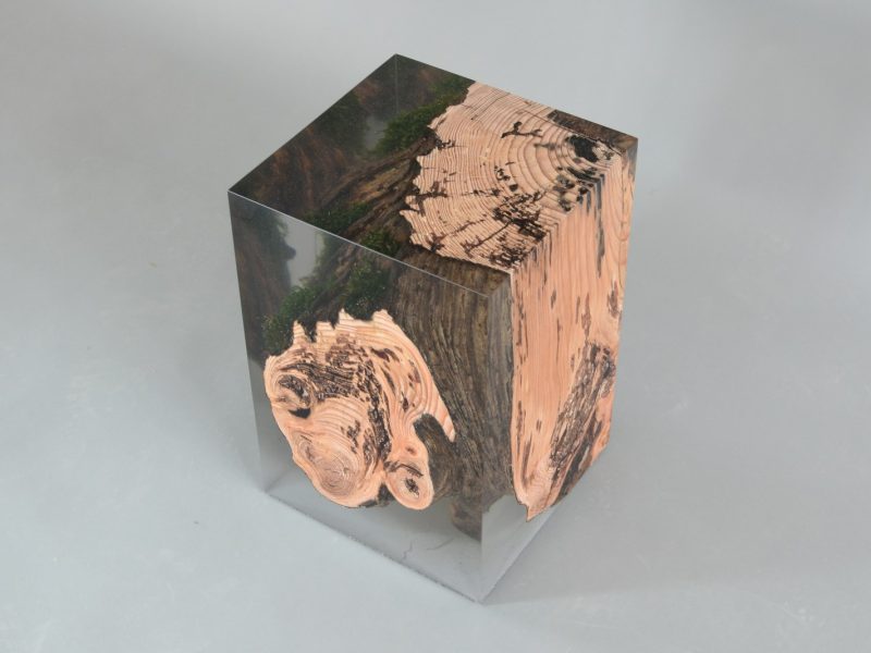 alcarol-stump-stool-larch-4