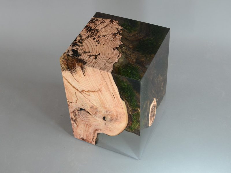alcarol-stump-stool-larch-5