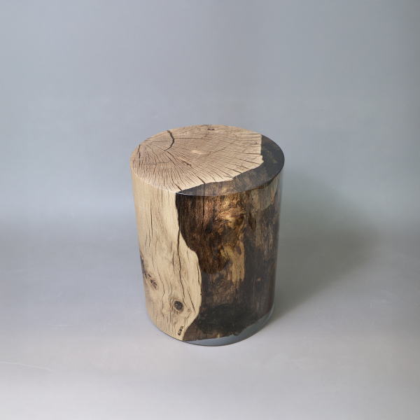 alcarol Surfacing Trunk 03