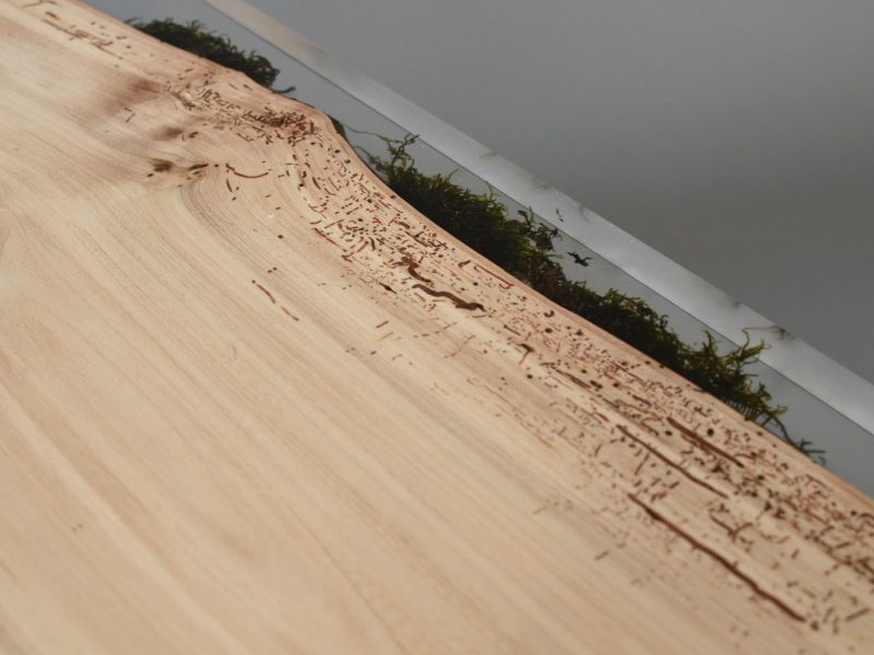 alcarol - Trail bench 8