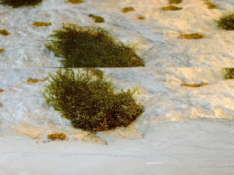 alcarol-dolomyth-stool-08