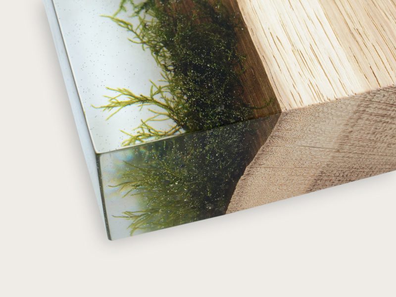alcarol-undergrowth-woodpile-shelving-8