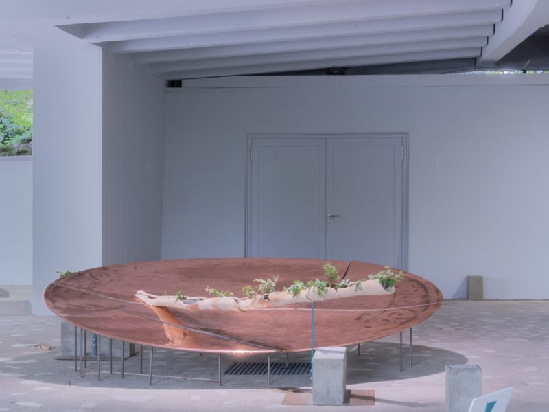 alcarol x SUNAKY Reflective Saucer 1