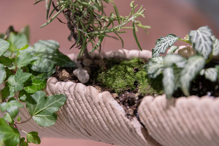 alcarol x SUNAKY Reflective Saucer 10