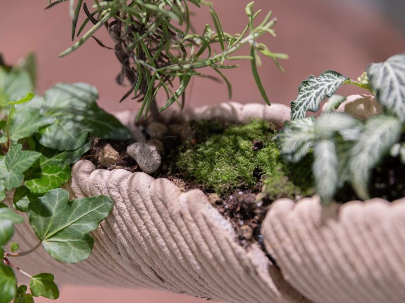 alcarol x SUNAKY Reflective Saucer 10