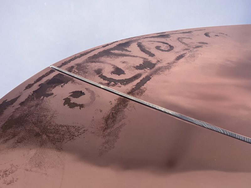 alcarol x SUNAKY Reflective Saucer 16