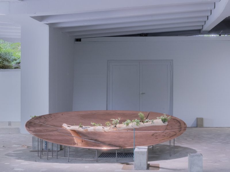 alcarol x SUNAKY Reflective Saucer 2