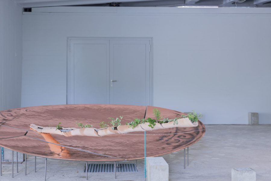 alcarol x SUNAKY Reflective Saucer 3