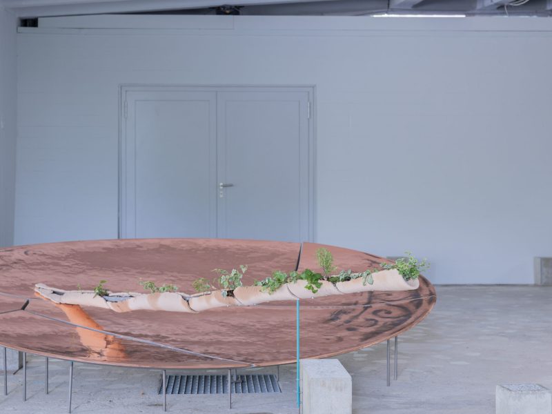 alcarol x SUNAKY Reflective Saucer 3