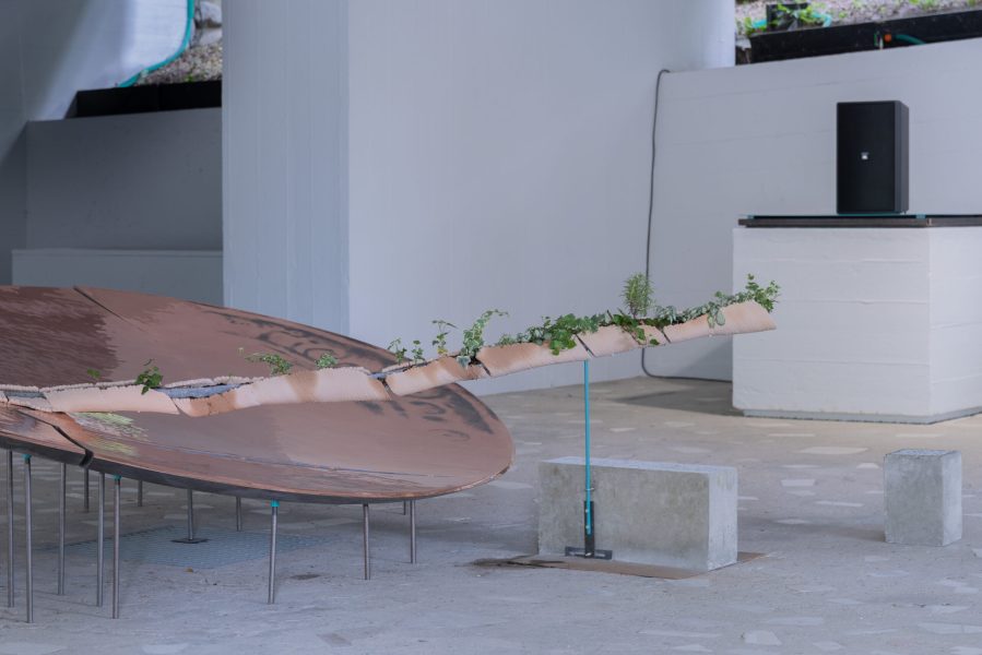 alcarol x SUNAKY Reflective Saucer 4