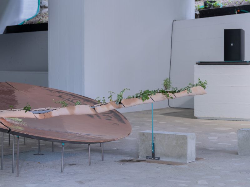 alcarol x SUNAKY Reflective Saucer 4