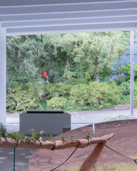 alcarol x SUNAKY Reflective Saucer 6